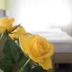 Hotel Martins Klause Airport Messe - Free Parking - Self Check-in Available 3*