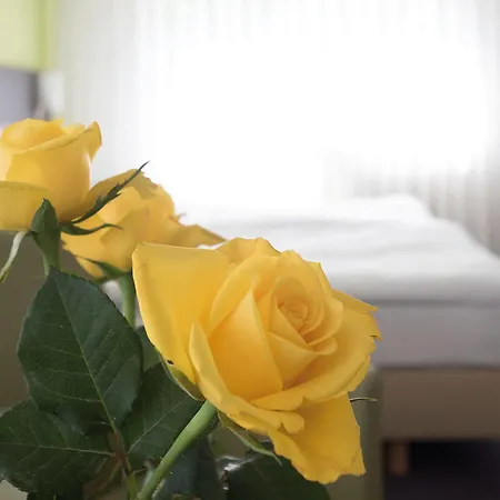 Ξενοδοχείο Martins Klause Airport Messe - Air Conditioning - Self Check-in Available 3*